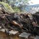 Storm damage at the top crossing at Wentworth Falls. Picture NPWS