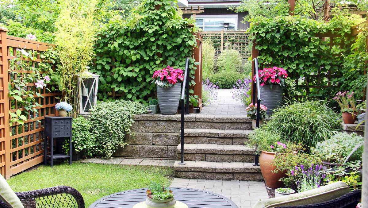 How to make the most of a small garden | Blue Mountains Gazette