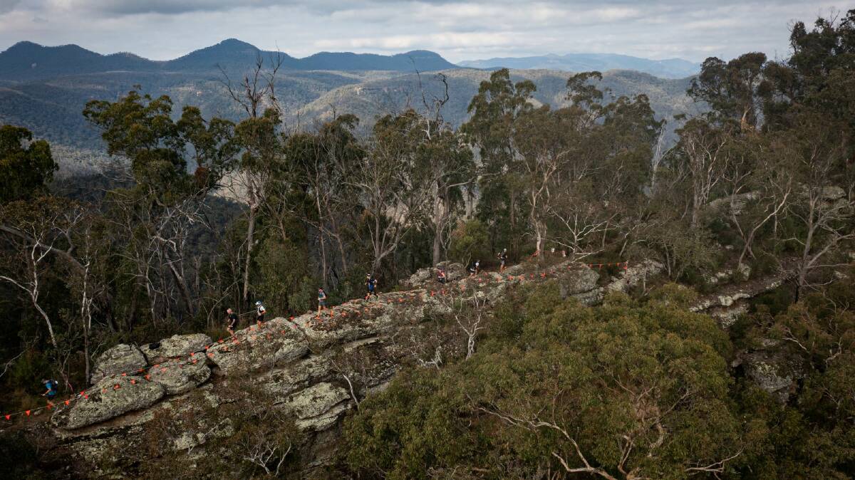 Runners enjoying Ironpot Ridge in the Blue Mountains in Ultra Trail. Picture by Tim Bardsley-Smith