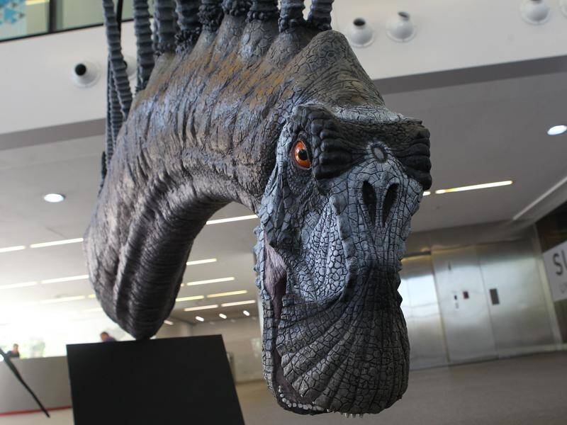 Patagonia: unknown dinosaur fossils found | Blue Mountains Gazette |  Katoomba, NSW